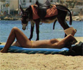 http://chichi1er.free.fr/temp/gifs/PR/ane_avatar.jpg